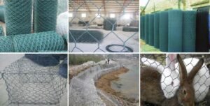 Hexagonal Wire Mesh