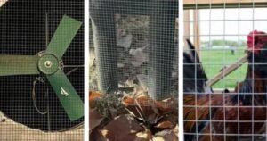 welded wire mesh welded wire mesh